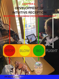 Title: Development of Intuitive Reasoning: Stop/Slow/Go/Flight, Author: Fm Note Light