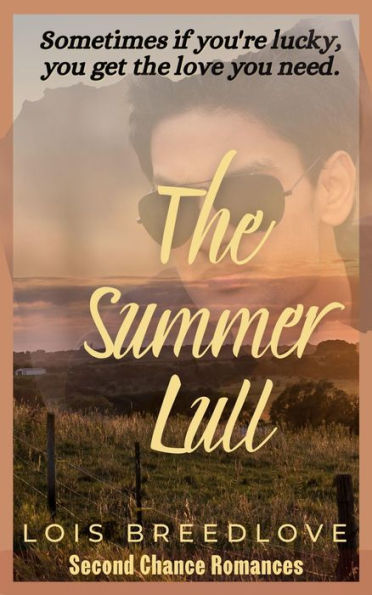 The Summer Lull: Small Town Romantic Suspense