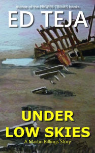 Title: Under Low Skies: A Novel of Caribbean Crime and Suspense, Author: Ed Teja