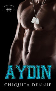 Aydin: A Grumpy Boss, Hate to Love Romantic Suspense