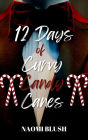 12 Days of Curvy Candy Canes: A Forbidden Love Dad's Best Friend Romance