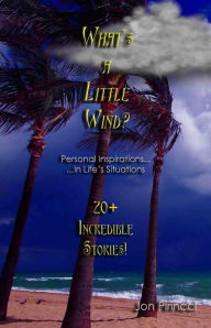 Title: What's a little wind?, Author: Jon Pirincci