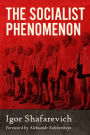 The Socialist Phenomenon: A Historical Survey of Socialist Policies and Ideals