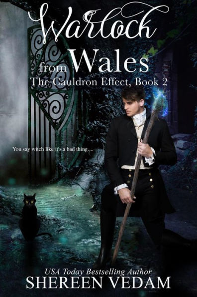 Warlock from Wales: Historical Fantasy Romance Novel