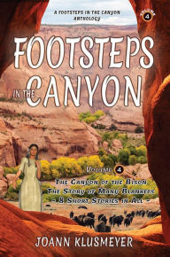 Title: The Canyon of the Bison & The Story of Many Blankets, Author: Joann Klusmeyer