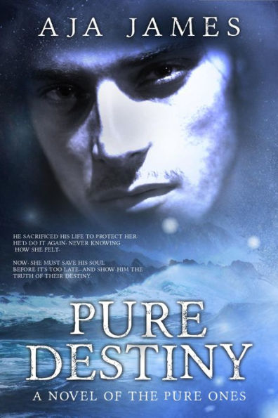 Pure Destiny: A Novel of the Pure Ones