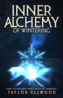 Inner Alchemy of Wintering: How to recover from Spiritual Burnout