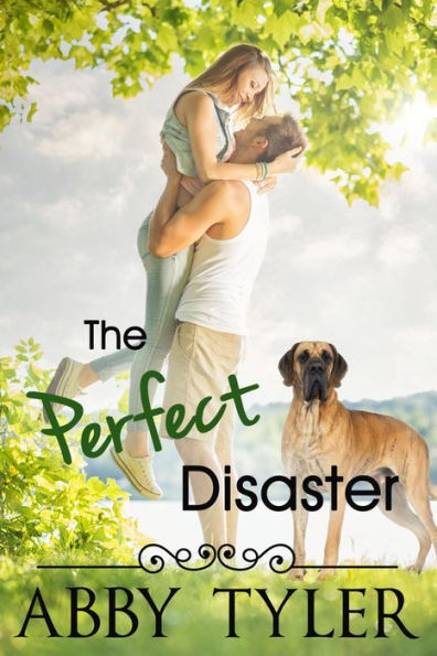 The Perfect Disaster: A Small Town Romantic Comedy