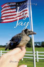 JAY JAY