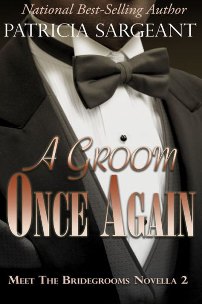A Groom Once Again: Meet the Bridegrooms, Novella 2