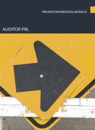 Title: Auditor PRL, Author: Sergio Sanchez Azor