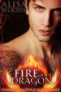 Fire of a Dragon (Fallen Immortals 3)