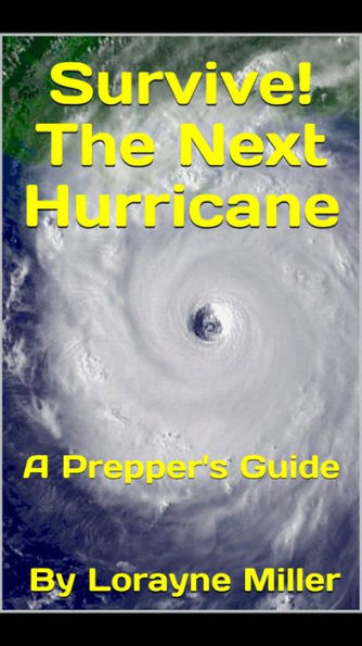 Survive! The Next Hurricane