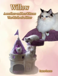 Title: Willow A mother and her kittens: The birth of a litter, Author: Laura Oravec