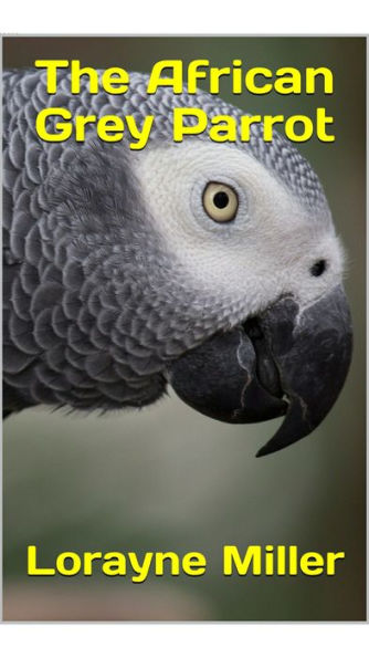 The African Grey Parrot