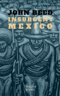 Insurgent Mexico