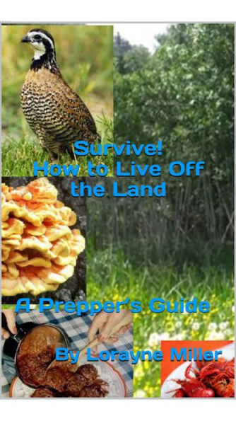 Survive! How To Live Off The Land