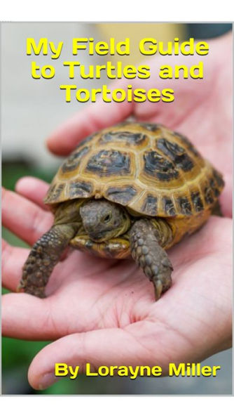 My Field Guide to Turtles and Tortoises