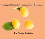 Title: Sunlight Streaming Through Tree Branches, Author: Rachel Kichline