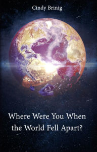 Title: Where Were You When the World Fell Apart, Author: Cindy Brinig