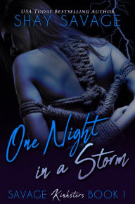 Title: One Night in a Storm, Author: Shay Savage