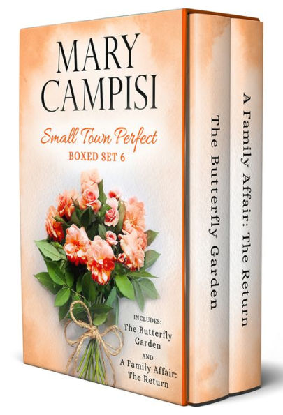 Small Town Perfect Boxed Set 6