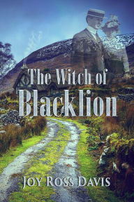 Title: The Witch of Blacklion, Author: Joy Ross Davis