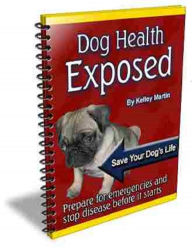 Title: Dog Health, Author: Rick Ricker