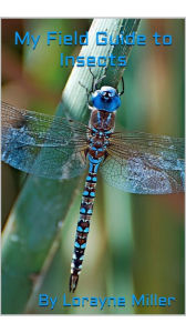 Title: My Field Guide To Insects, Author: Lorayne Miller