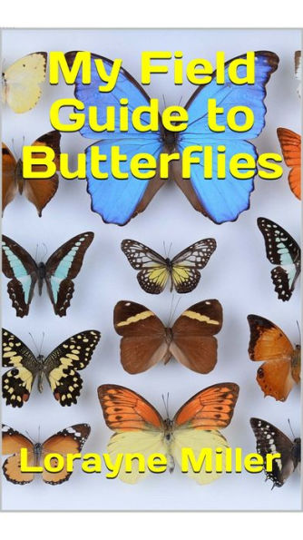 My Field Guide To Butterflies