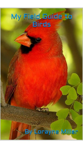 My Field Guide To Birds