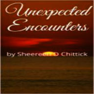 Title: Unexpected Encounters, Author: sheereen chittick