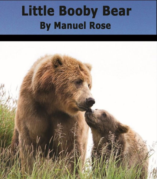 Little Booby Bear - A Children's Book
