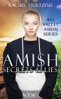 Amish Secrets and Lies