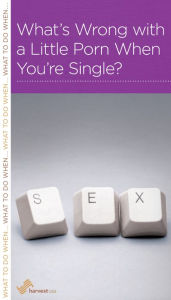 Title: What's Wrong with a Little Porn When You're Single?, Author: R. Nicholas Black