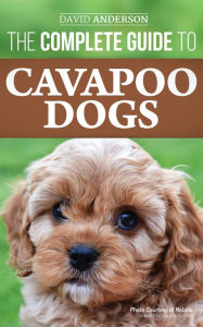 Title: The Complete Guide to Cavapoo Dogs: Everything you need to know to sucessfully raise and train your new Cavapoo puppy!, Author: David Anderson