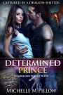 Determined Prince: A Qurilixen World Novel