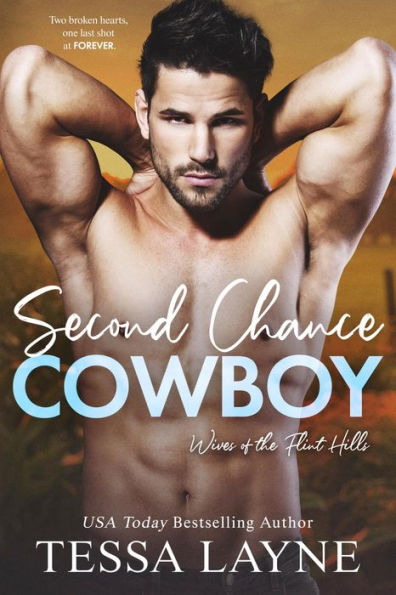 Second Chance Cowboy