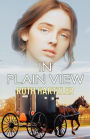 In Plain View: Christian Romantic Suspense Novella