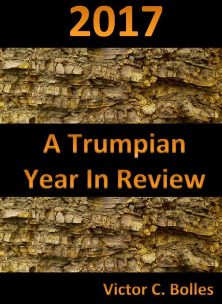 2017 - A Trumpian Year in Review