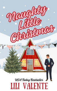 Title: Naughty Little Christmas: A Snowed In Second Chance Romance, Author: Lili Valente