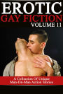 Erotic Gay Fiction: Volume 11