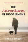 The Adventures of Fudge Jenkins