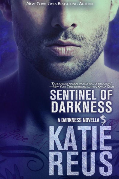 Sentinel of Darkness (Darkness Series #8)