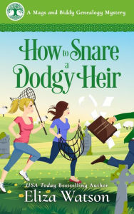 How to Snare a Dodgy Heir: A Cozy Mystery Set in Ireland