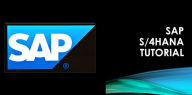 Title: SAP Everyday Tips and Tricks for all Modules, Author: arghadip kar