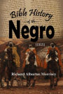 Bible History of the Negro (1915)