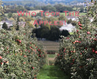 Title: Who Took The Apples!, Author: Ian Mccown