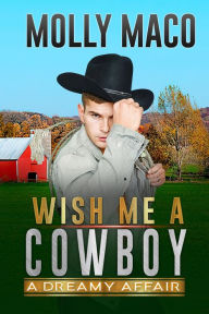 Title: A Dreamy Affair : Cowboy Romance, Author: Molly Maco