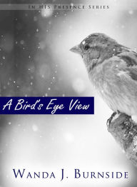 Title: A BIRD'S EYE VIEW, Author: Wanda Burnside